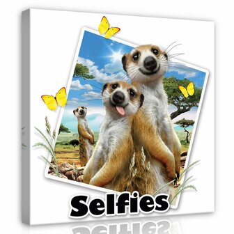 Meerkats- Selfies Canvas Schilderij PP12824O2