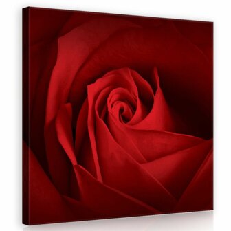 Rose Canvas Schilderij PP10151O2