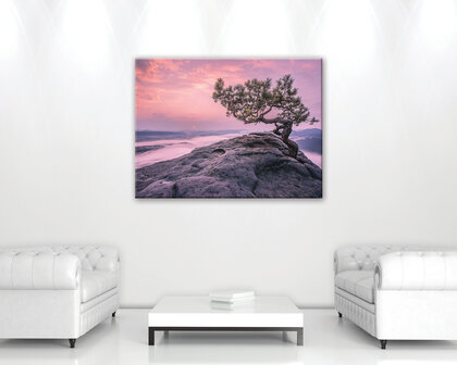 The tree on the rock Canvas Schilderij PP11749O1