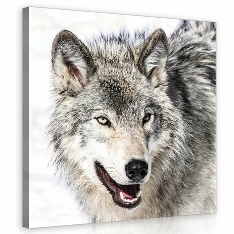 Snow Wolf Canvas Schilderij PP20307O2