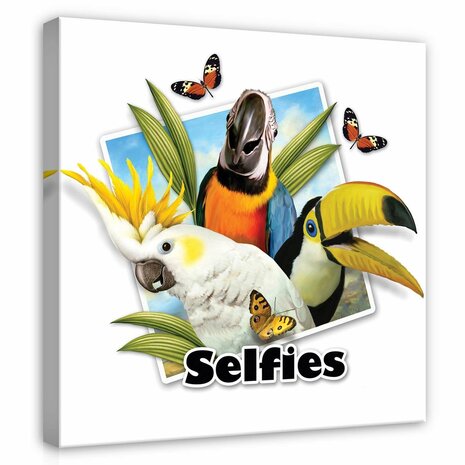 Parrots- Selfies Canvas Schilderij PP12836O2