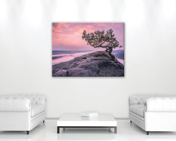 The tree on the rock Canvas Schilderij PP11749O1