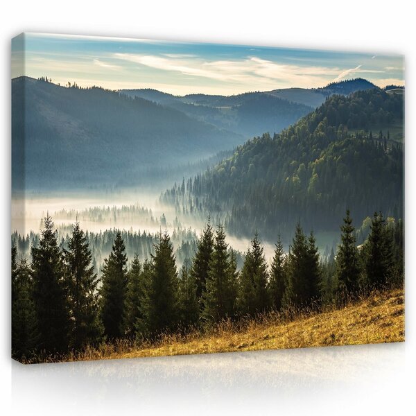 Landscape nature mountains forest Canvas Schilderij PP14537O1