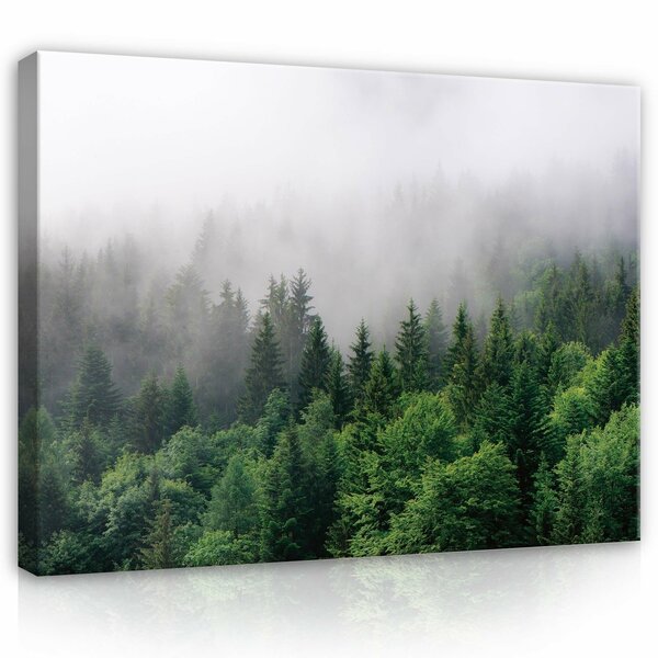 Forest Canvas Schilderij PP13907O1