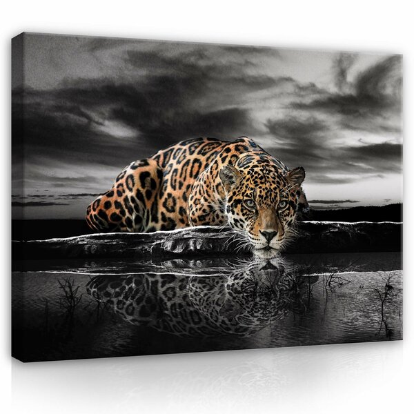 Nature jaguar Africa jungle Canvas Schilderij PP14419O1