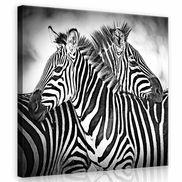 Zebra Canvas Schilderij PP21012O2