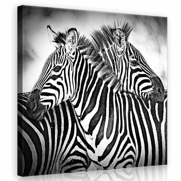 Zebra Black-White Canvas Schilderij PP10159O2