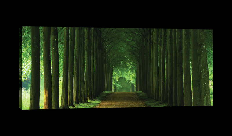 Dark Forest Alley Canvas Schilderij PP20005O3