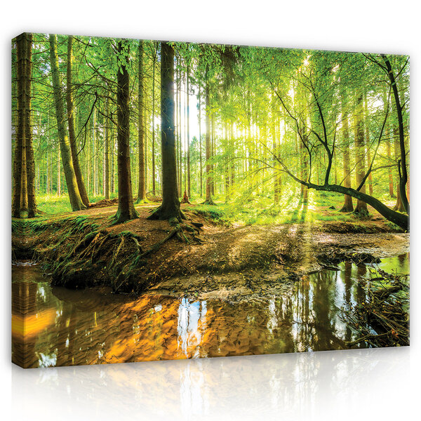 Sunny Forest Canvas Schilderij PP10513O20