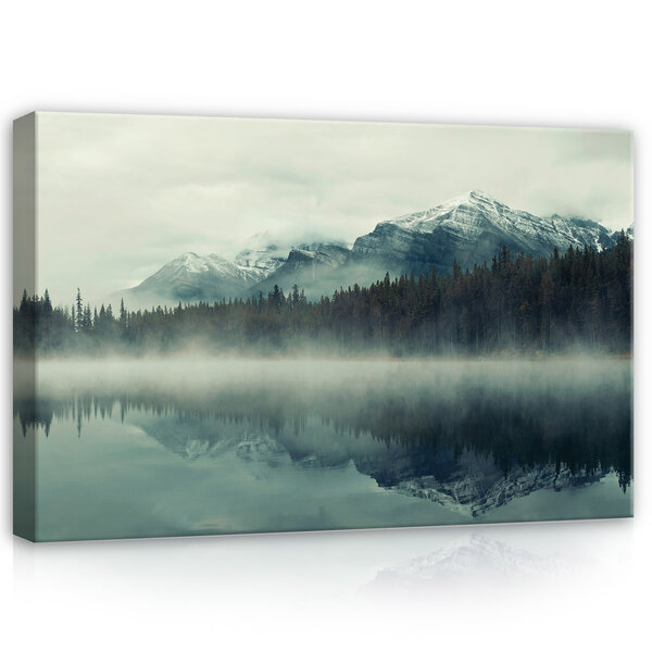 Nature Mountains Forest in Fog Canvas Schilderij PP14099O20