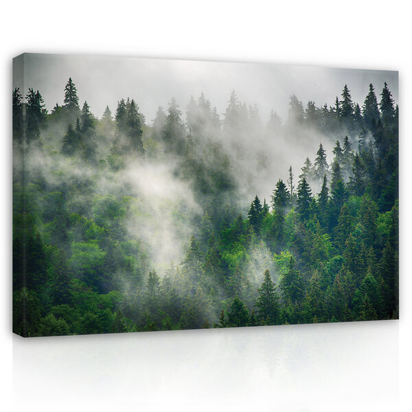 Nature forest landscape fog Canvas Schilderij PP14566O20