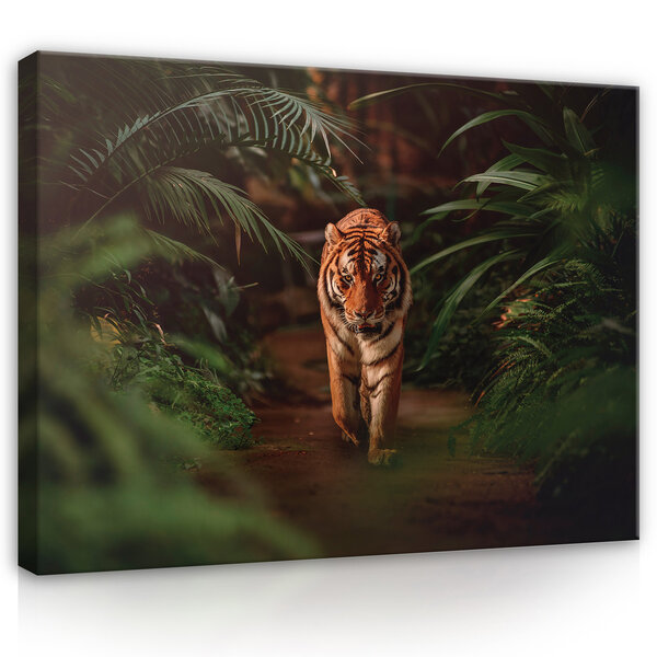 Nature jungle tiger green Canvas Schilderij PP14423O20