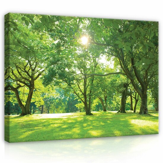 Nature forest park trees Canvas Schilderij PP14529O1