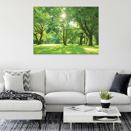 Nature forest park trees Canvas Schilderij PP14529O1