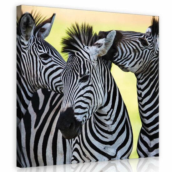 Three Cheerful Zebras Canvas Schilderij PP20313O2