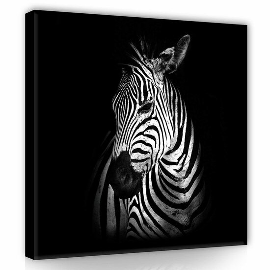 Zebra Canvas Schilderij PP11767O2