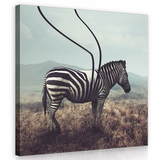 Zebra Canvas Schilderij PP11754O2