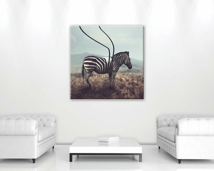 Zebra Canvas Schilderij PP11754O2