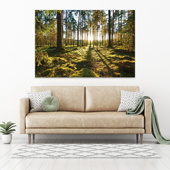 Nature landscape forest trees Canvas Schilderij PP14505O20