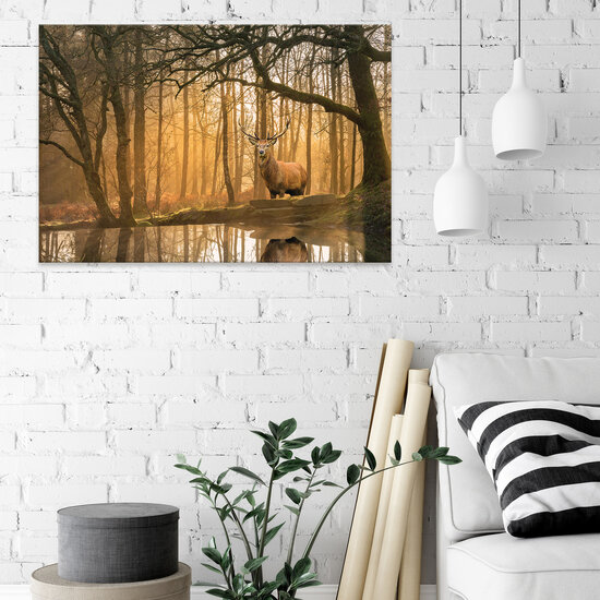 Lanscape nature forest deer Canvas Schilderij PP14520O20