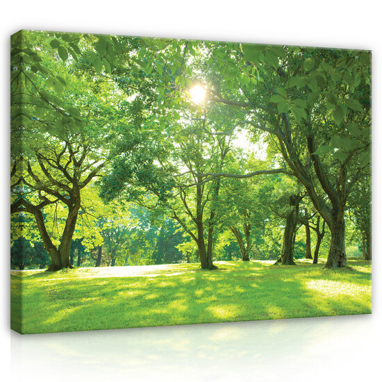 Nature forest park trees Canvas Schilderij PP14529O20