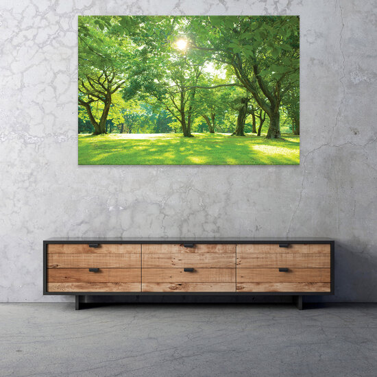 Nature forest park trees Canvas Schilderij PP14529O20