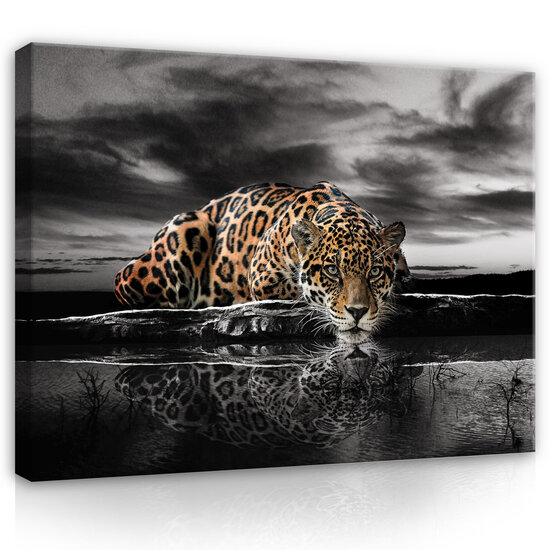 Nature jaguar Africa jungle Canvas Schilderij PP14419O20