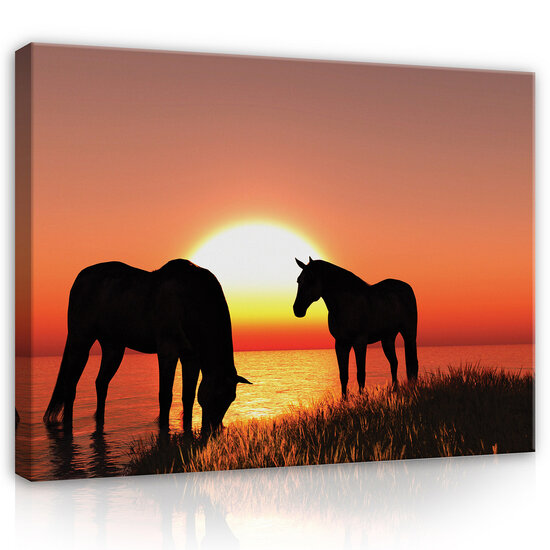 Horses and sunset Canvas Schilderij PP13603O20